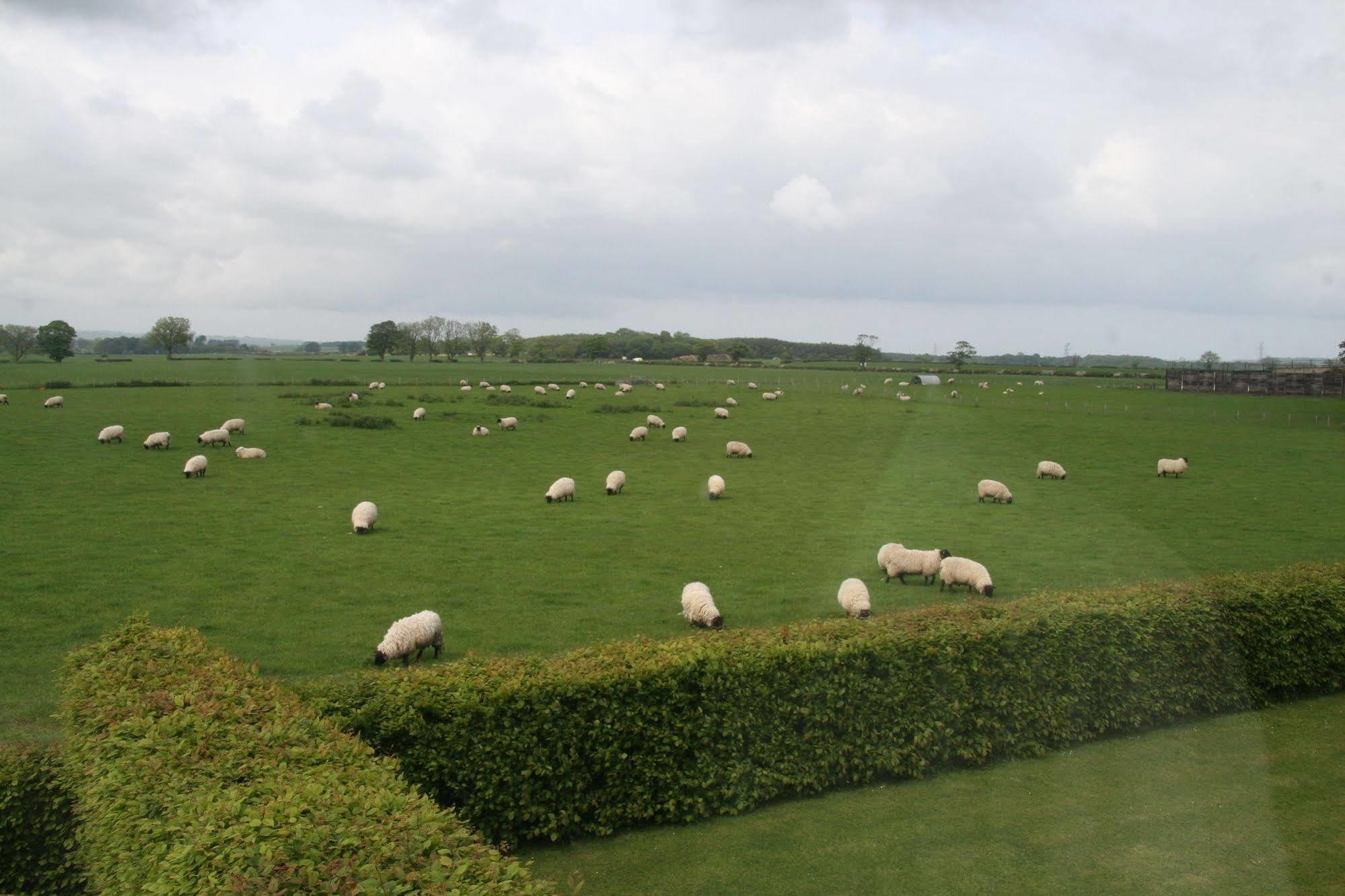 Acklington Northumberland Cottage B&B المظهر الخارجي الصورة